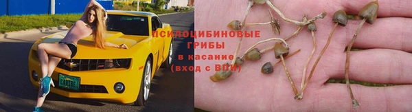 круглые Горно-Алтайск