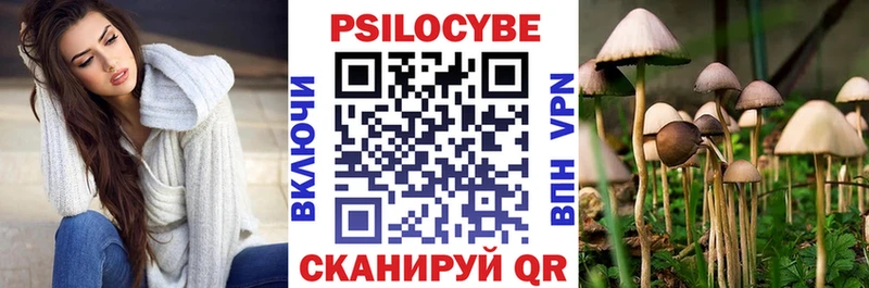 где продают   Узловая  Псилоцибиновые грибы мухоморы 